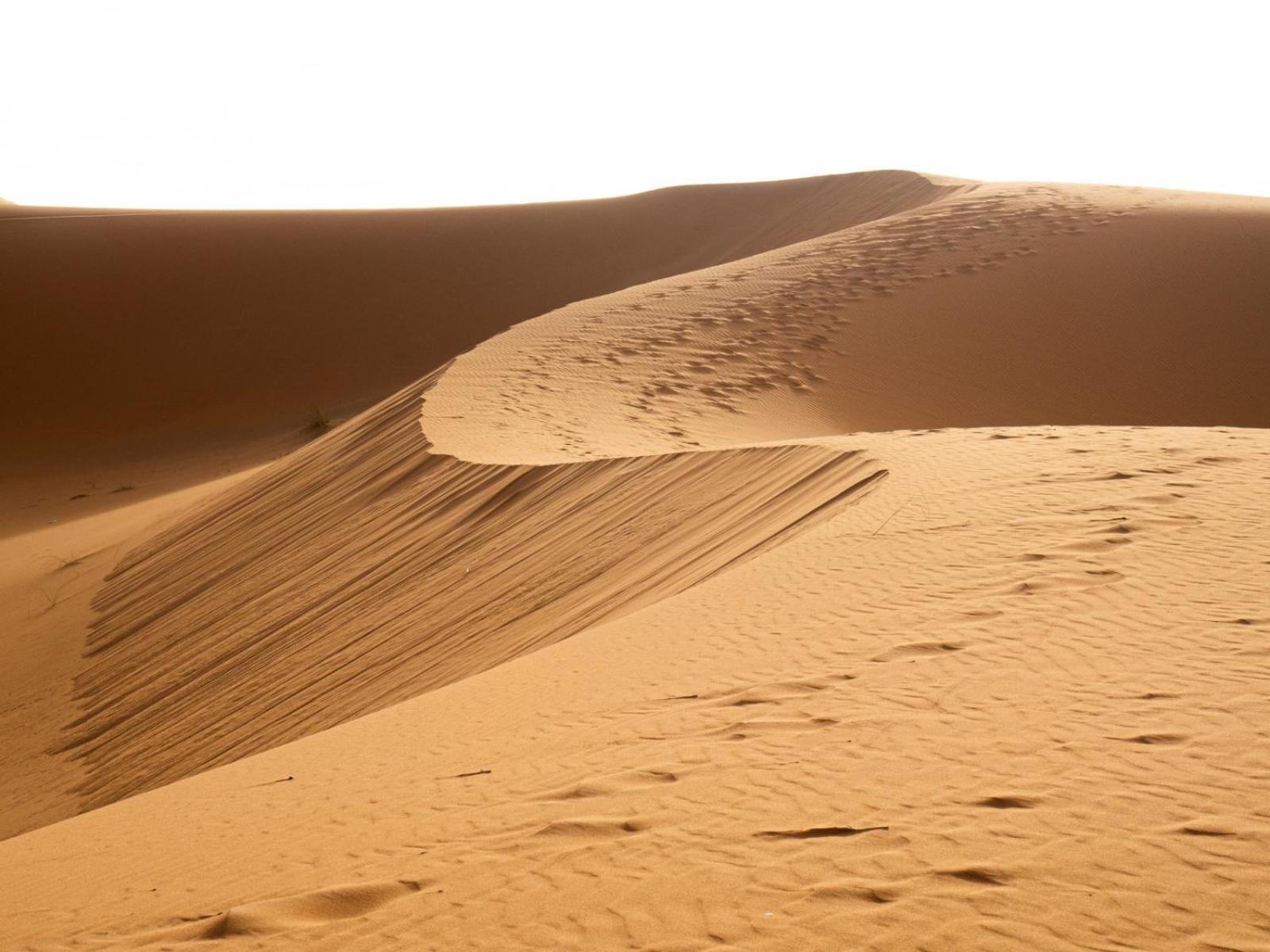 Maison Merzouga Guest House Dış mekan fotoğraf