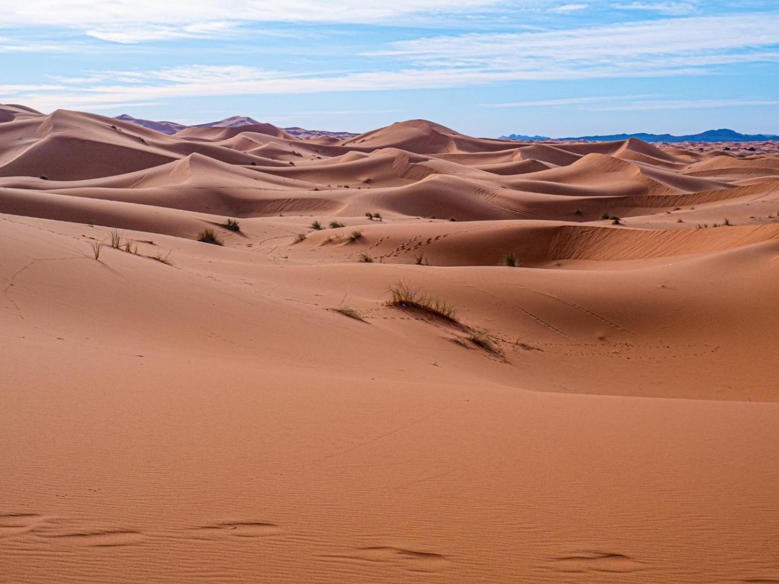 Maison Merzouga Guest House Dış mekan fotoğraf